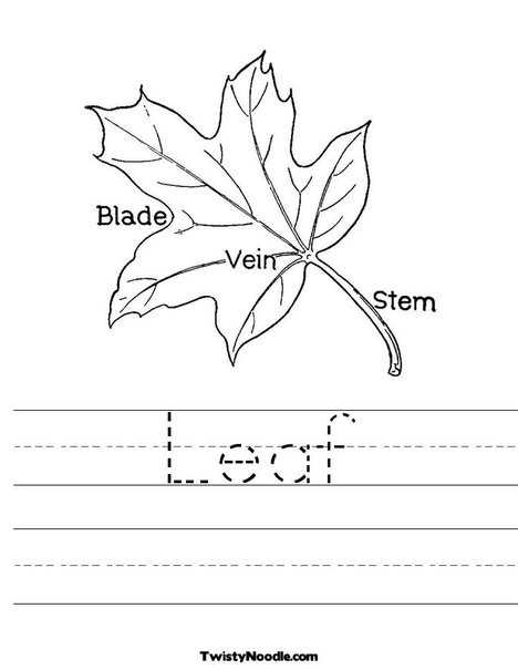 Leaf Printable Kindergarten Worksheets