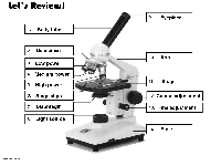 Compound Light Microscope Parts Worksheet