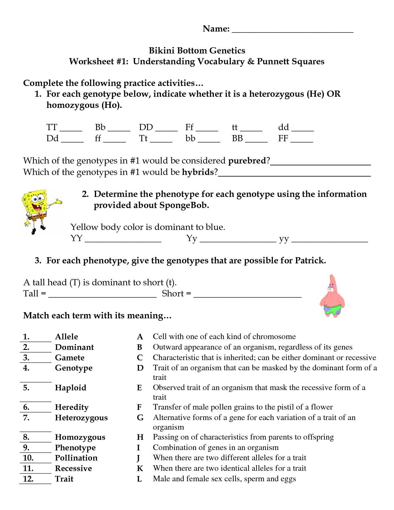 17-best-images-of-genetics-challenge-answer-key-worksheet-bikini-bottom-genetics-2-worksheet