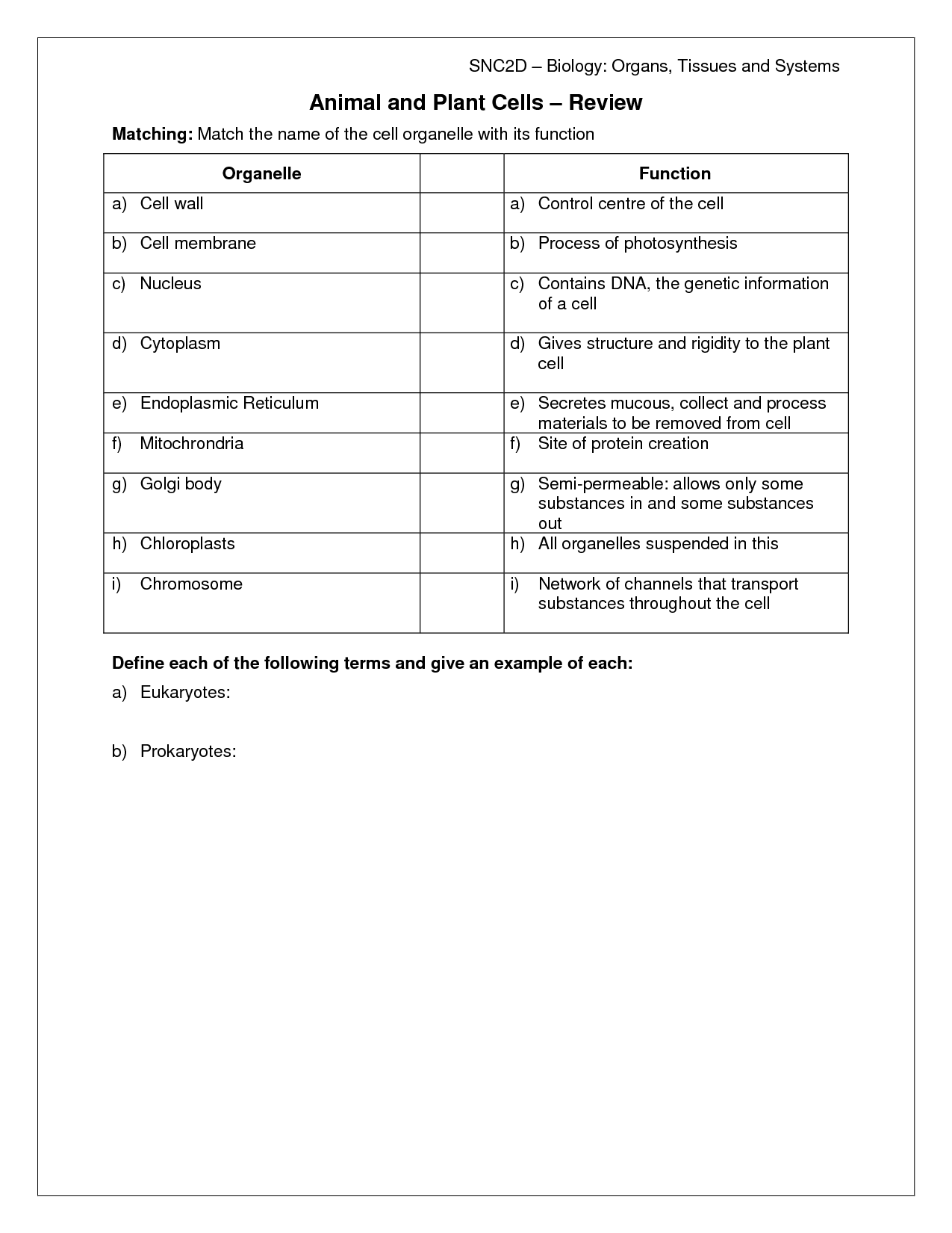 Cells And Their Organelles Worksheet