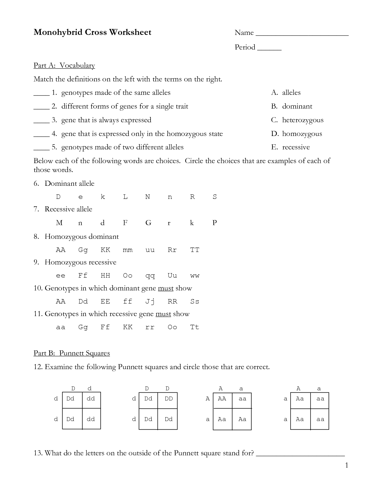 Mendelian Genetics Worksheet Answer Key