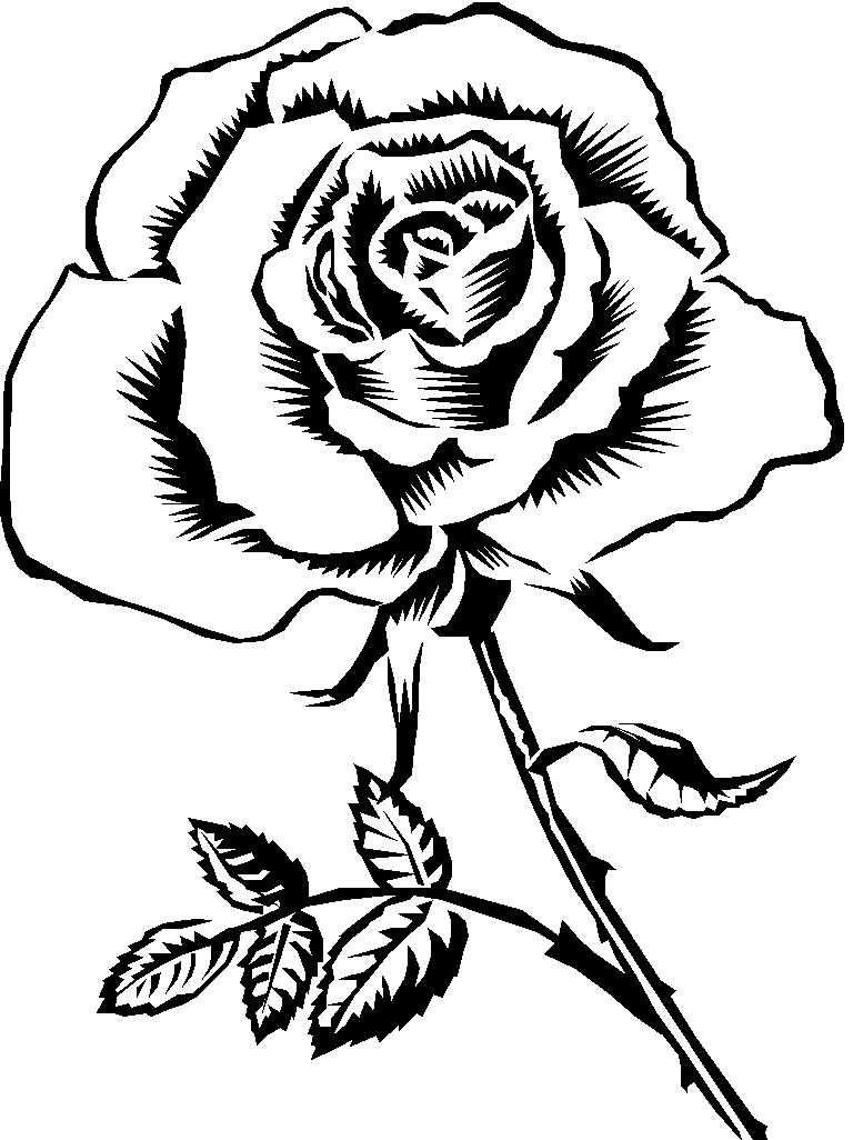 Rose Flower Clip Art Coloring Pages