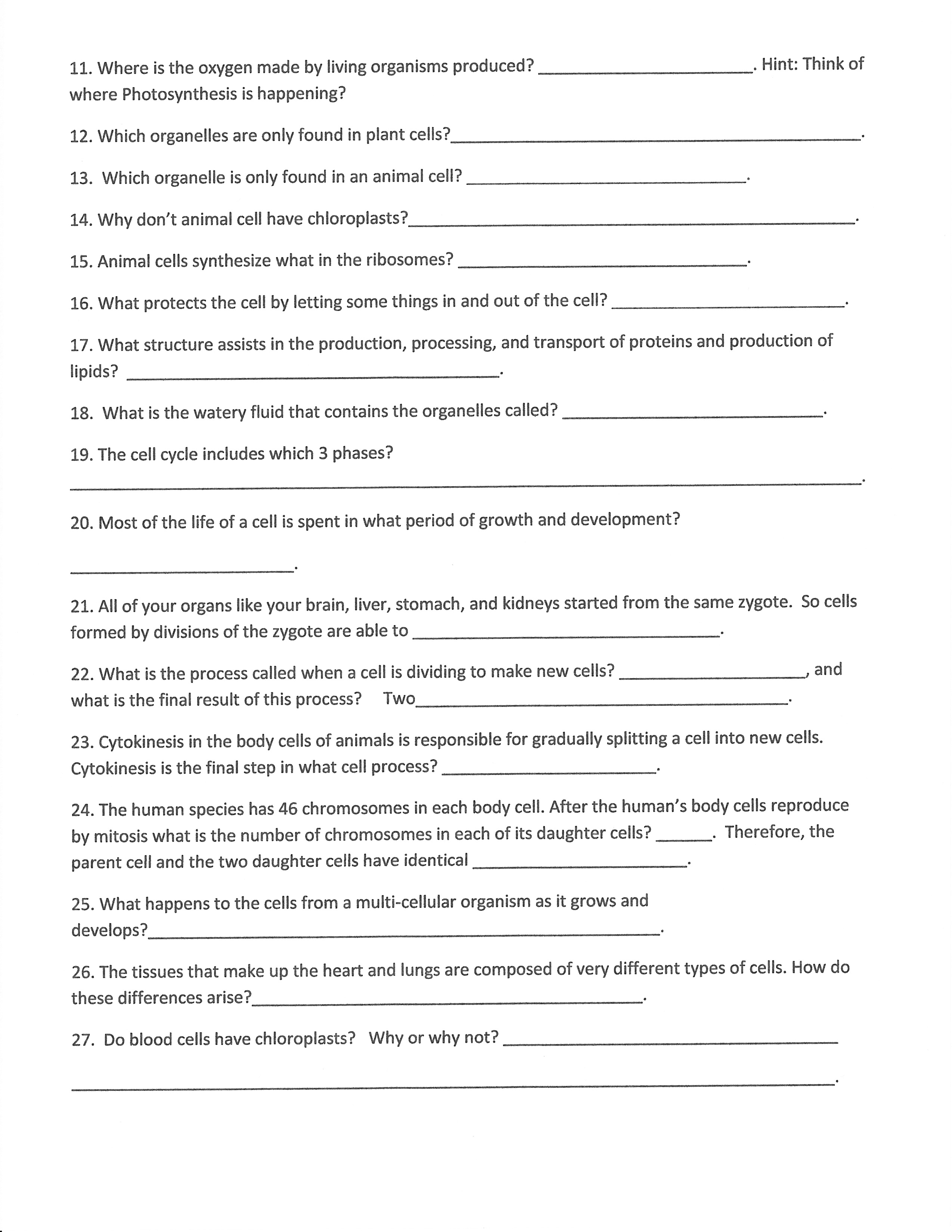 7th Grade Science Cells Worksheets