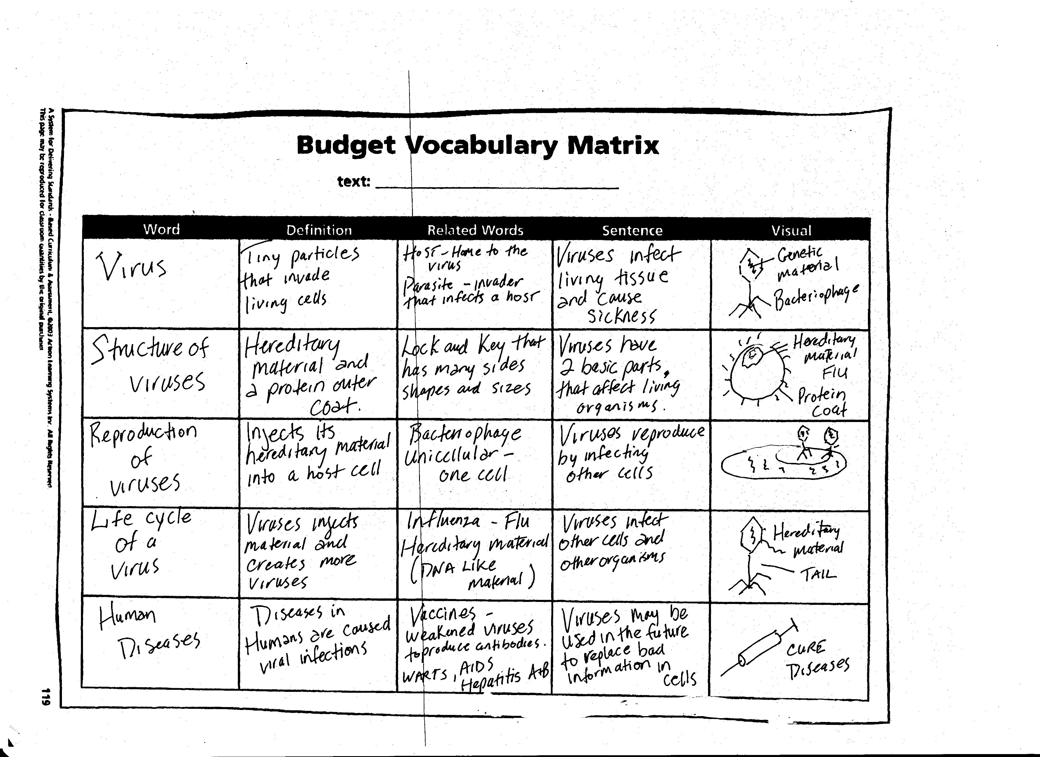 8 Best Images of Comparing Plants And Animals Worksheet