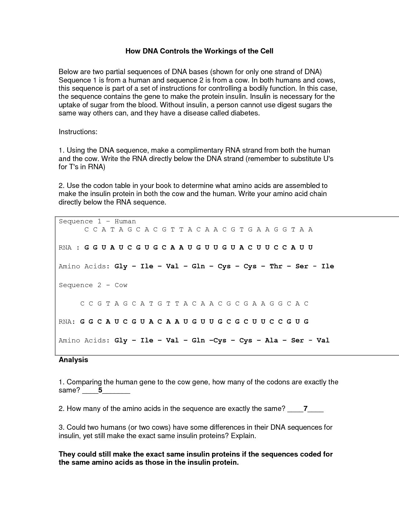 Genetics Worksheet Middle School