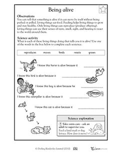 First Grade Printable Science Worksheets