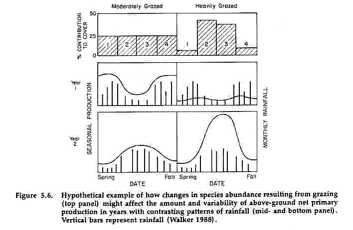 Levels Of Biological Organization Worksheet