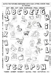 Alphabet Letter Hunt Worksheet
