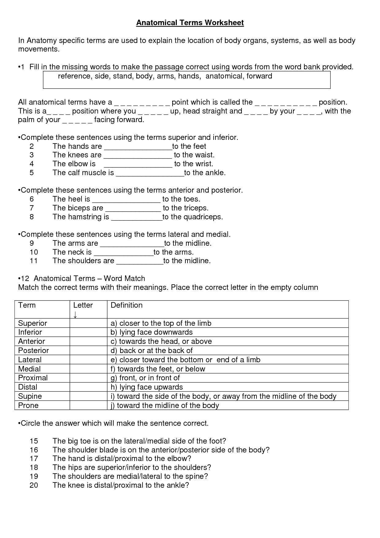 Directional Terms Worksheet Anatomy Physiology Answers - Worksheet List
 Anatomy Directional Terms Worksheet