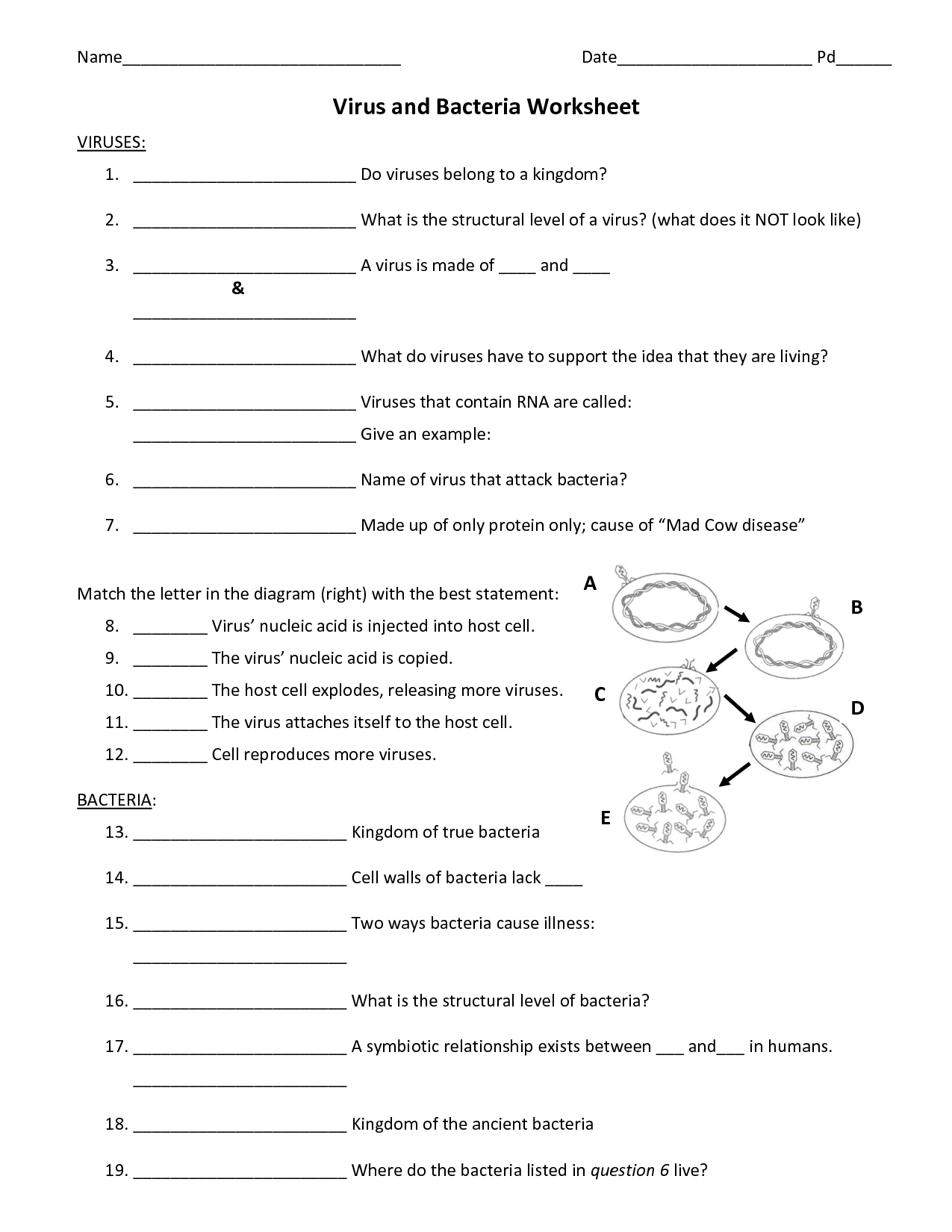 14 Best Images of Viruses And Bacteria Worksheets  Bacteria and Viruses Worksheet Answers 