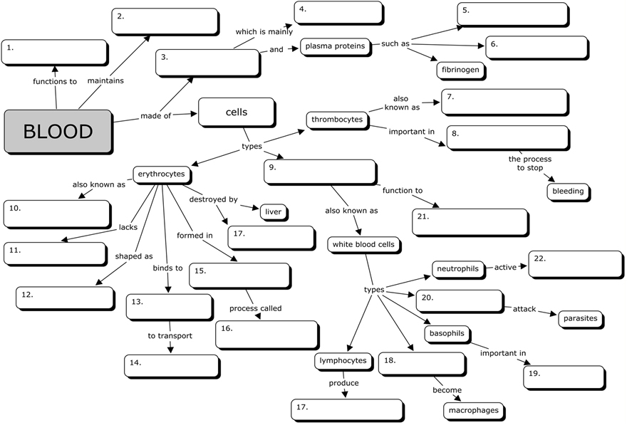 13 Best Images of Biology Corner Worksheets Answer Key - Blood Concept