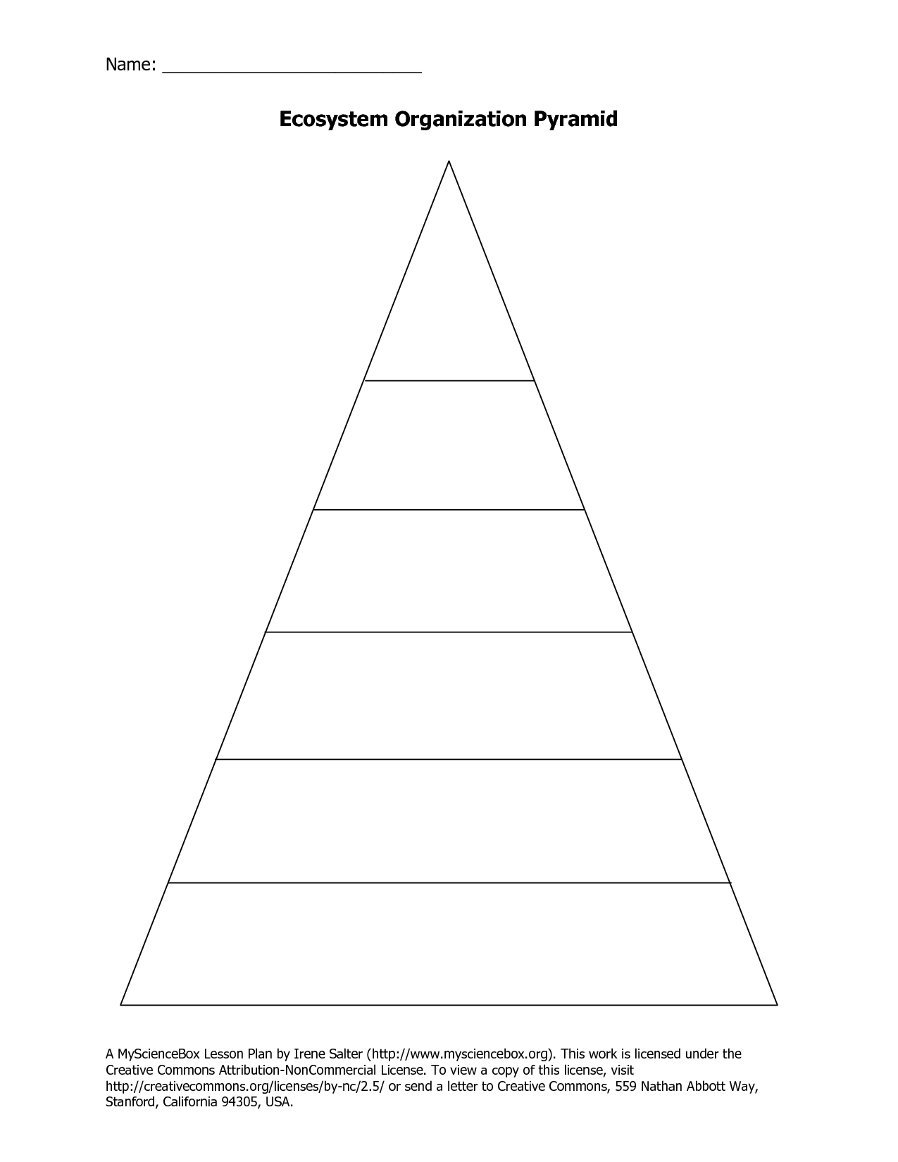 Level Of Organization Worksheet