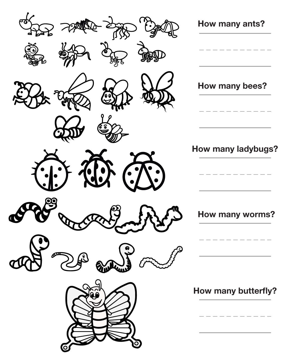 Printable Insect Worksheet Color