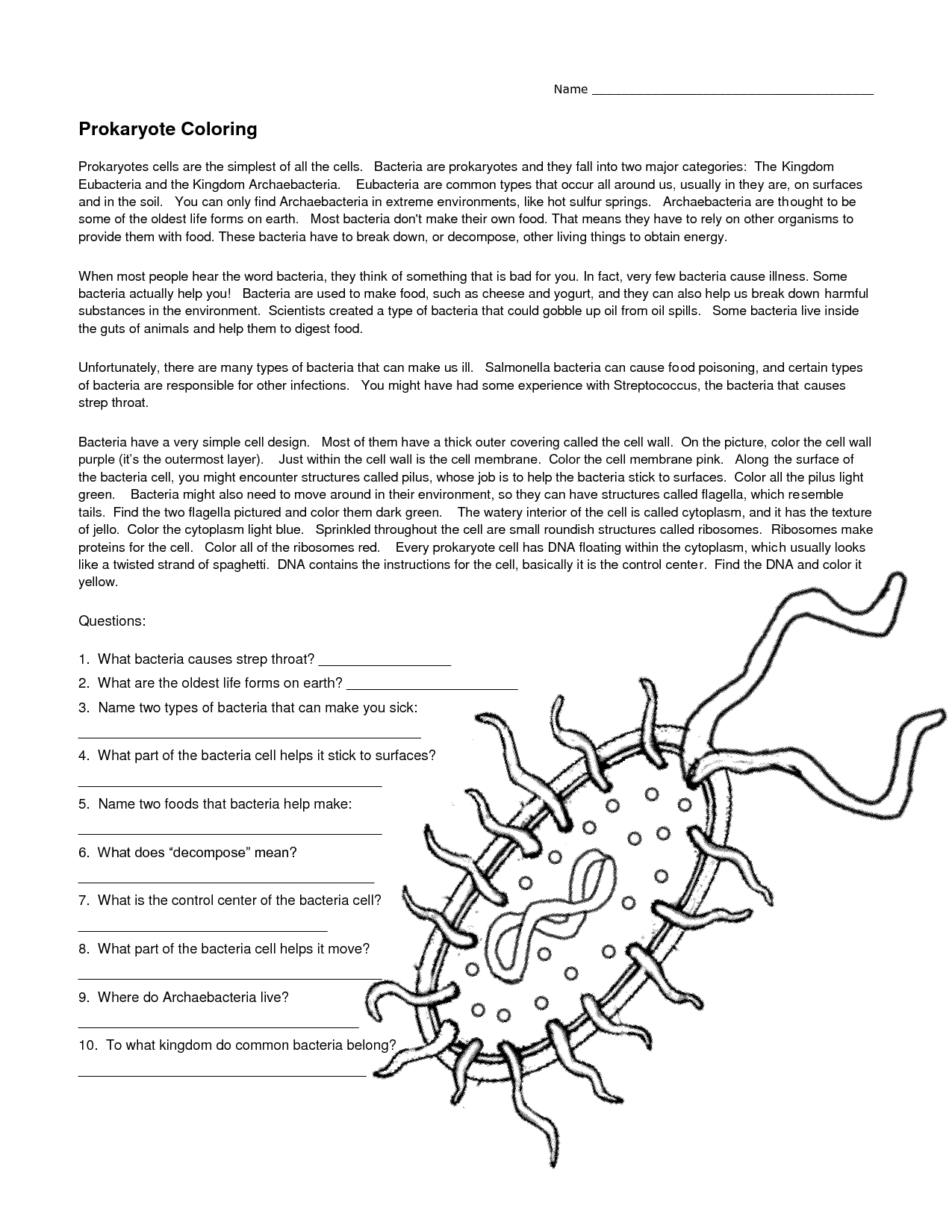 Bacteria Structure For Kids – 20 recent pictures for coloring ...