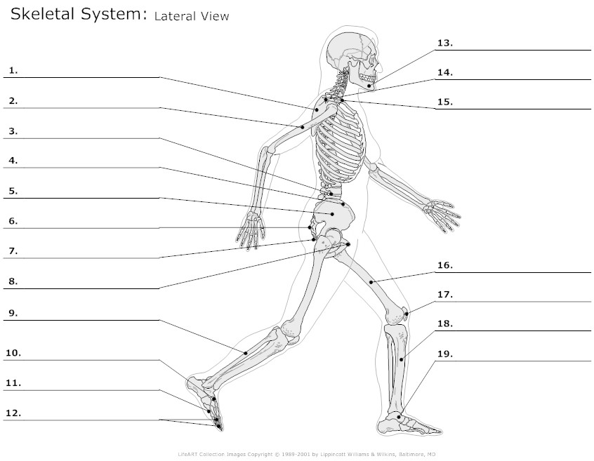 11 Best Images of Pe Activity Worksheets - ING Worksheets Grade 1