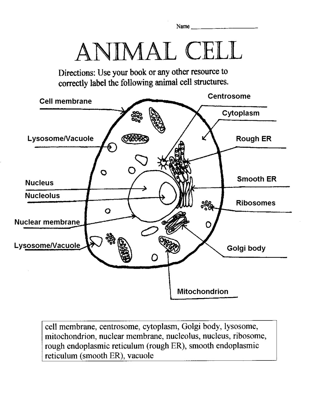 14-best-images-of-parts-of-plant-functions-worksheet-plant-parts-and-their-functions-worksheet