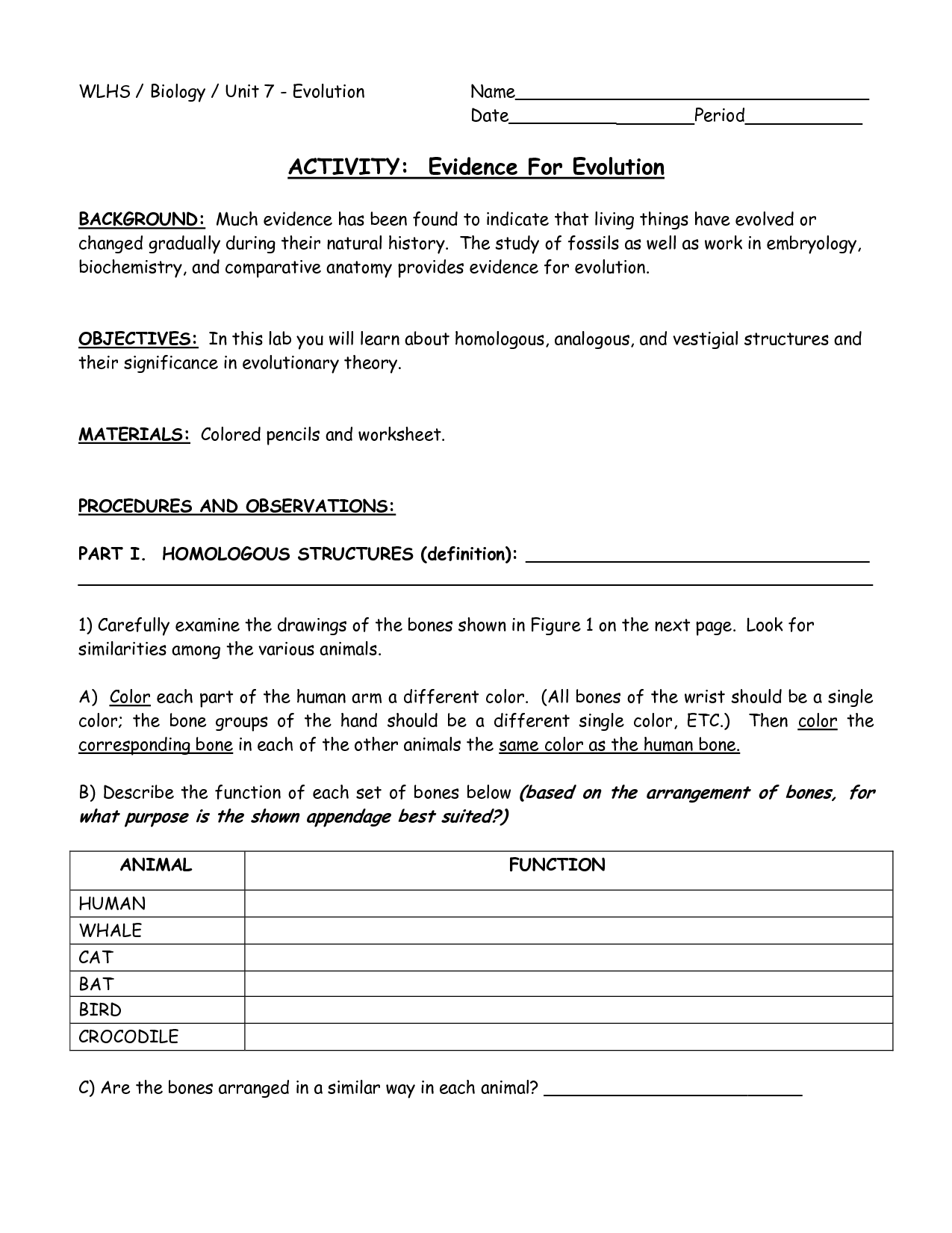 Evidence Of Evolution Worksheet