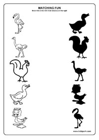 16 Best Images of Bird Worksheets For Kindergarten - Kid Bird Worksheet