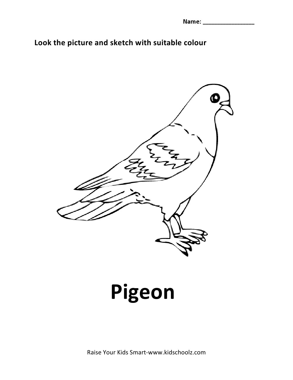 16 Best Images Of Bird Worksheets For Kindergarten Kid Bird Worksheet 