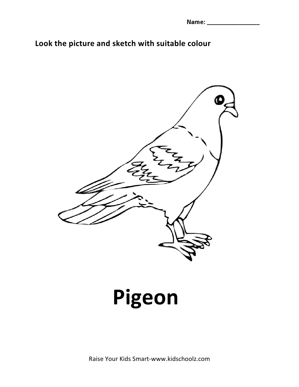16 Best Images Of Bird Worksheets For Kindergarten Kid Bird Worksheet Spring Math Coloring