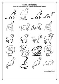 12 Best Images of Objects That Are The Same Worksheet - Same Size
