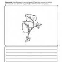 Plant Word Search Worksheet