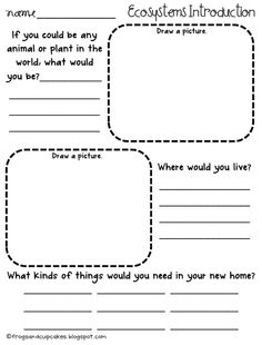 4th Grade Science Ecosystem Worksheets