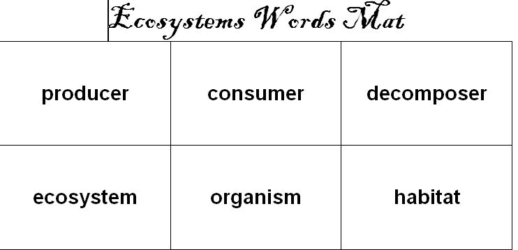 5th Grade Ecosystem Vocabulary Words