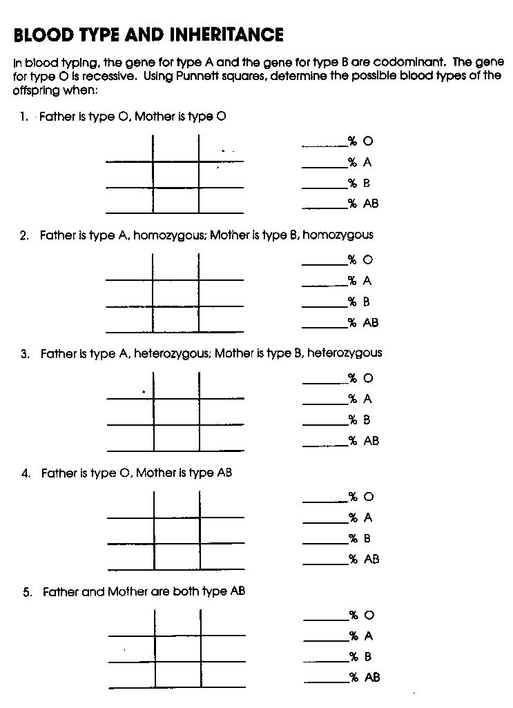 16 Best Images of Blood Type Worksheet - Answer Key Codominance