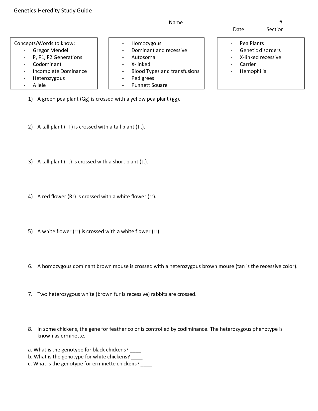 16-best-images-of-blood-type-worksheet-answer-key-codominance-worksheet-blood-types-blood