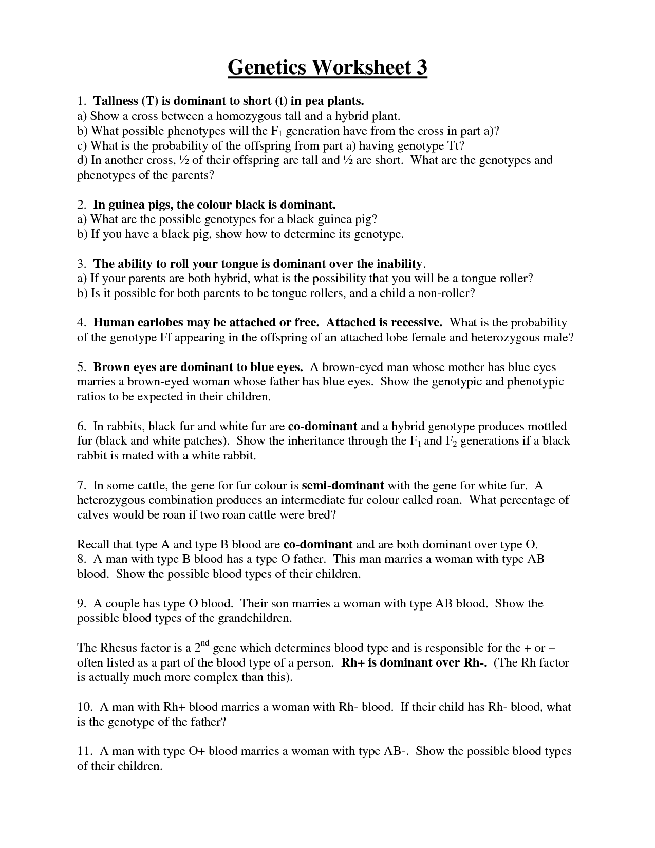16-best-images-of-blood-type-worksheet-answer-key-codominance-worksheet-blood-types-blood