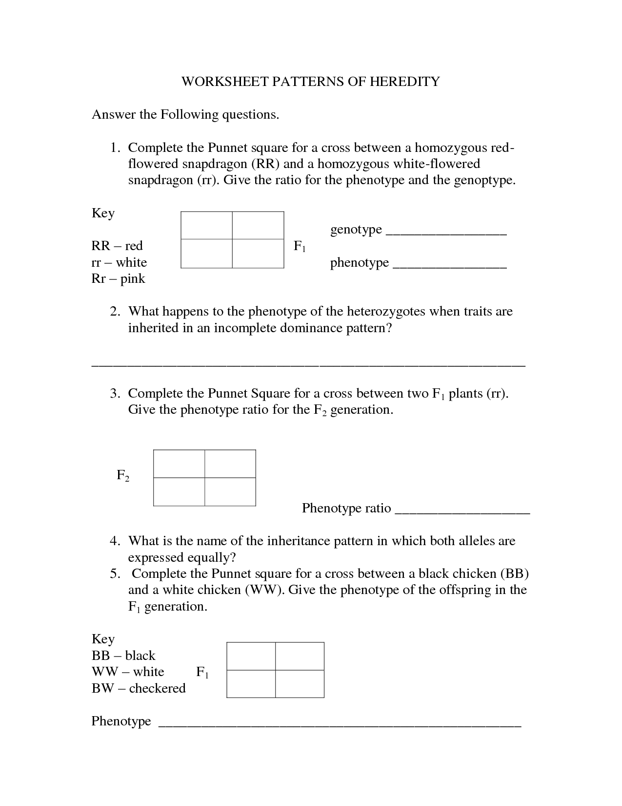 Genetics Worksheet Answer Key