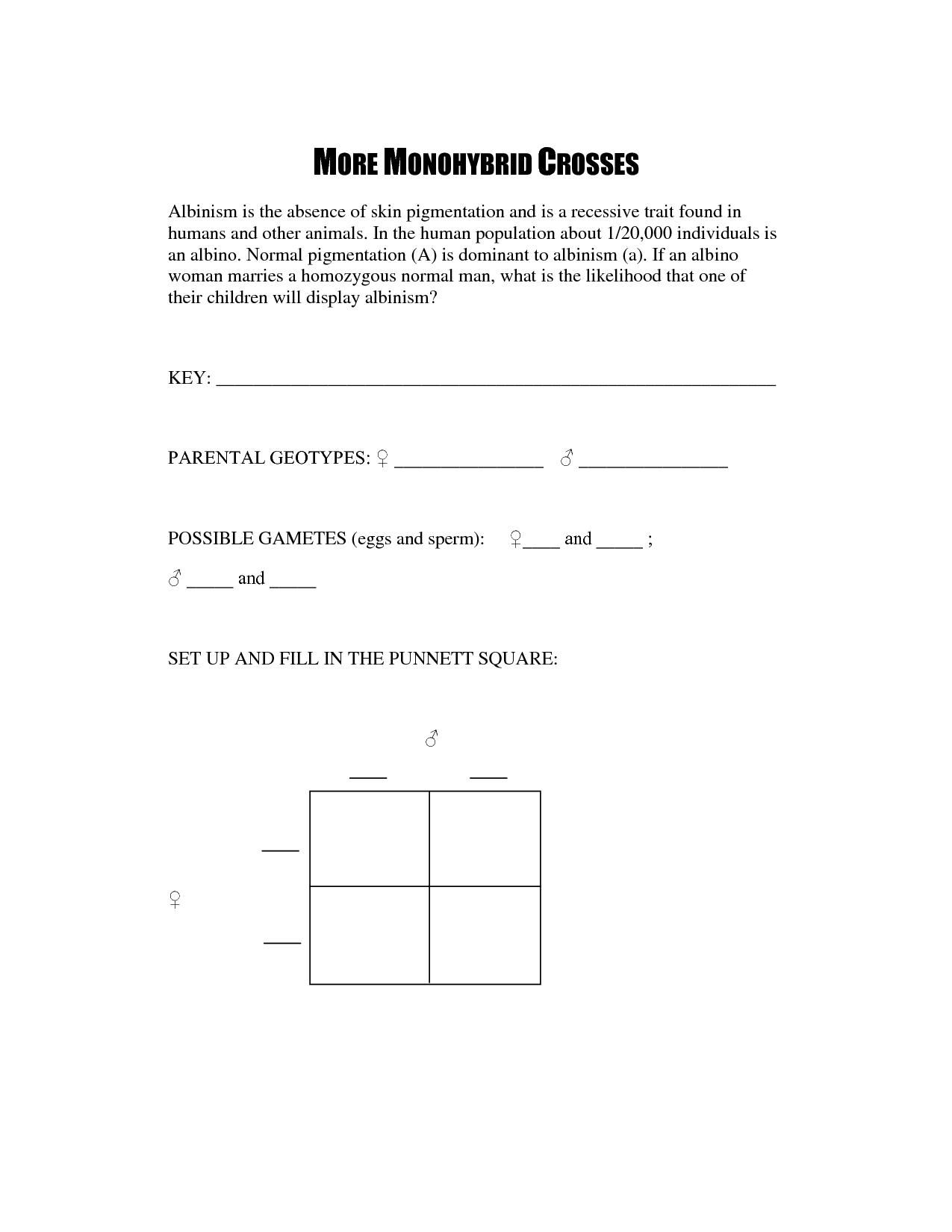 14 Best Images of Monohybrid Cross Worksheet Answer Key  Monohybrid Cross Worksheet Answers 