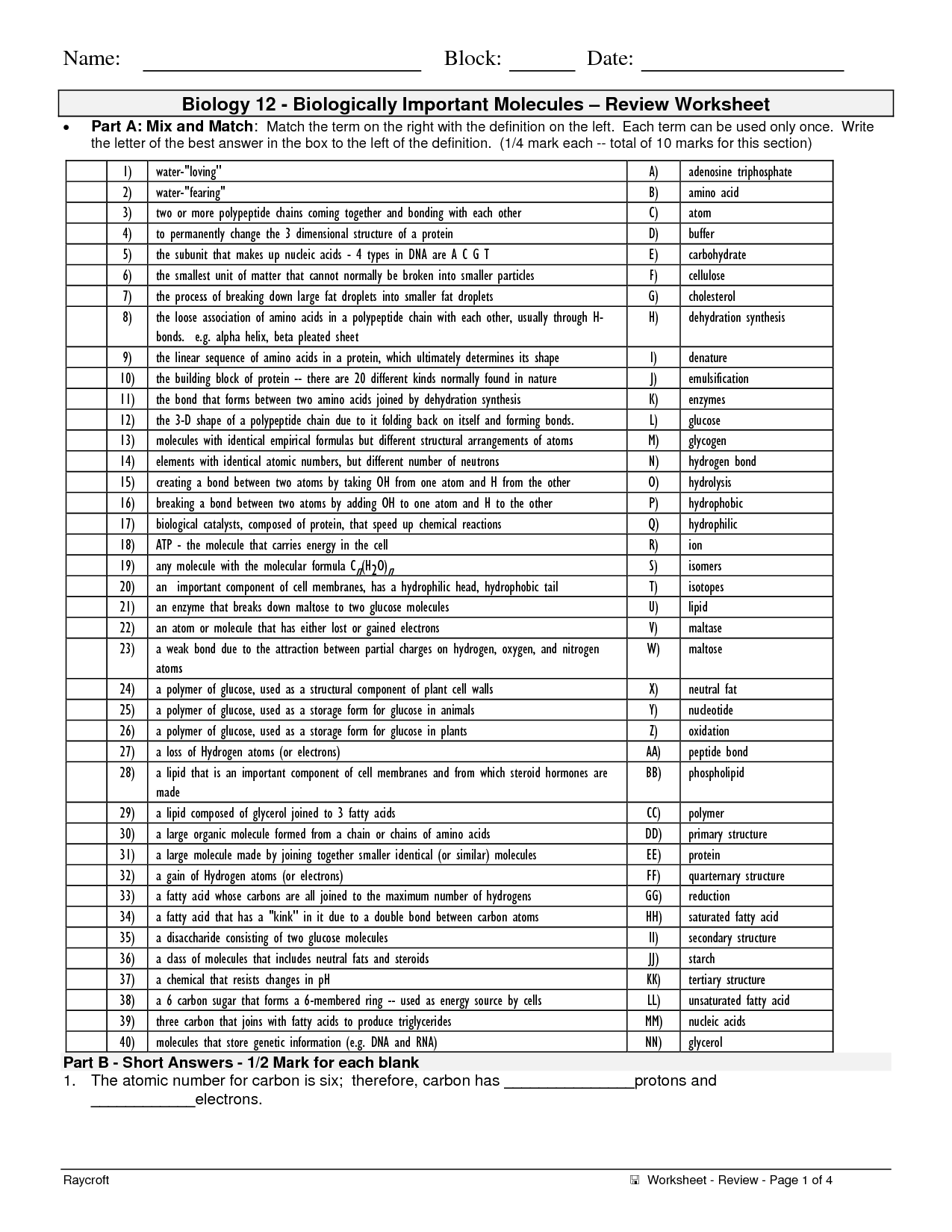 Organic Molecules Worksheet Answer Key