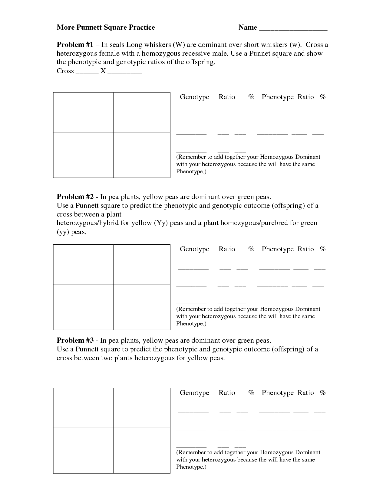 16 Best Images of Blood Type Worksheet  Answer Key 