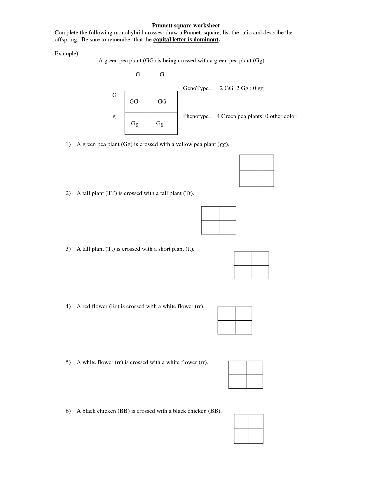 14 Best Images of Monohybrid Cross Worksheet Answer Key 