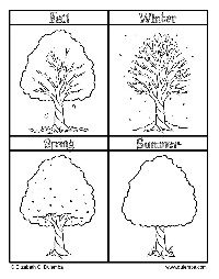 Four Seasons Tree Coloring Page