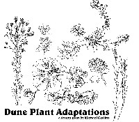 Plant Adaptation Worksheet Animal