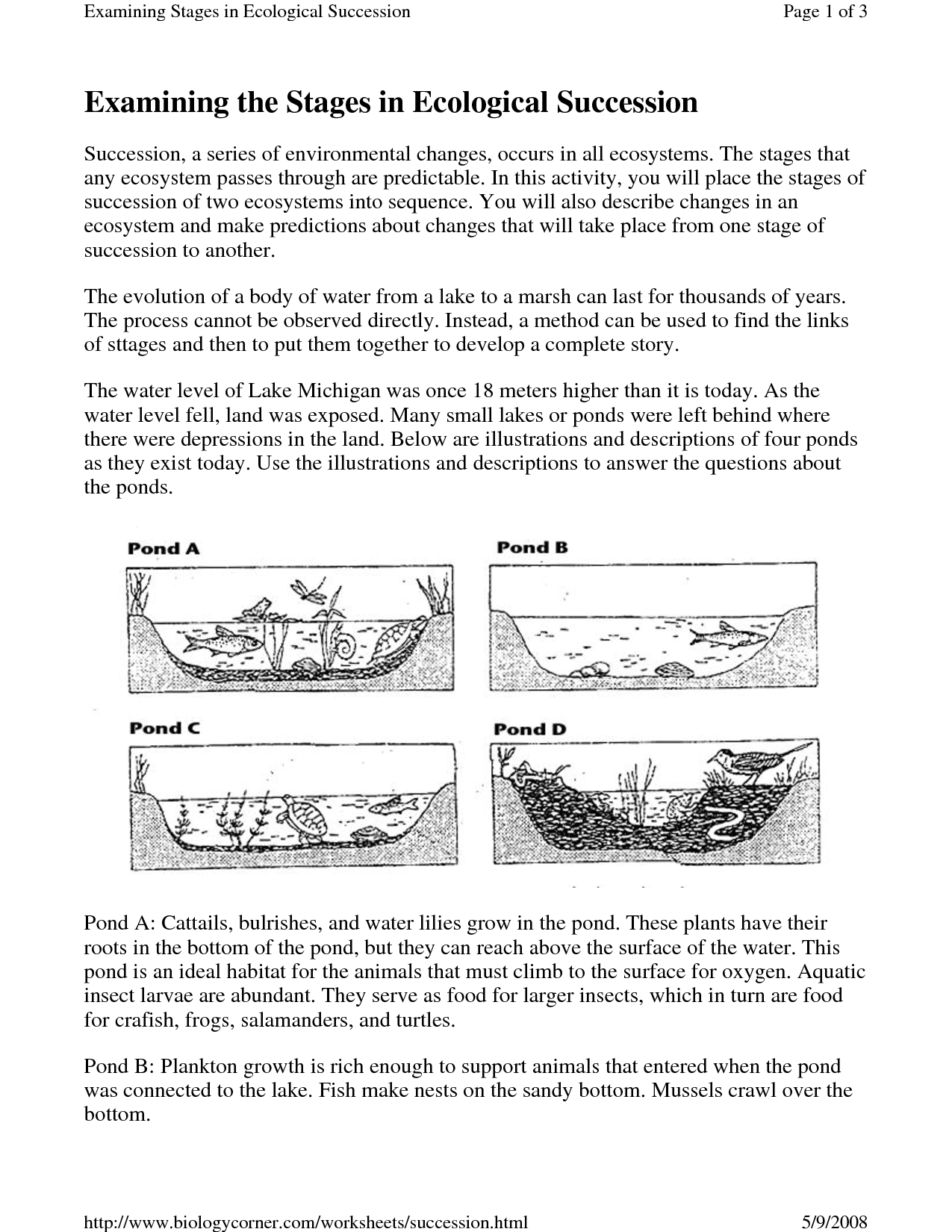 17 Best Images of Primary Vs Secondary Succession Worksheet  Primary and Secondary Succession 