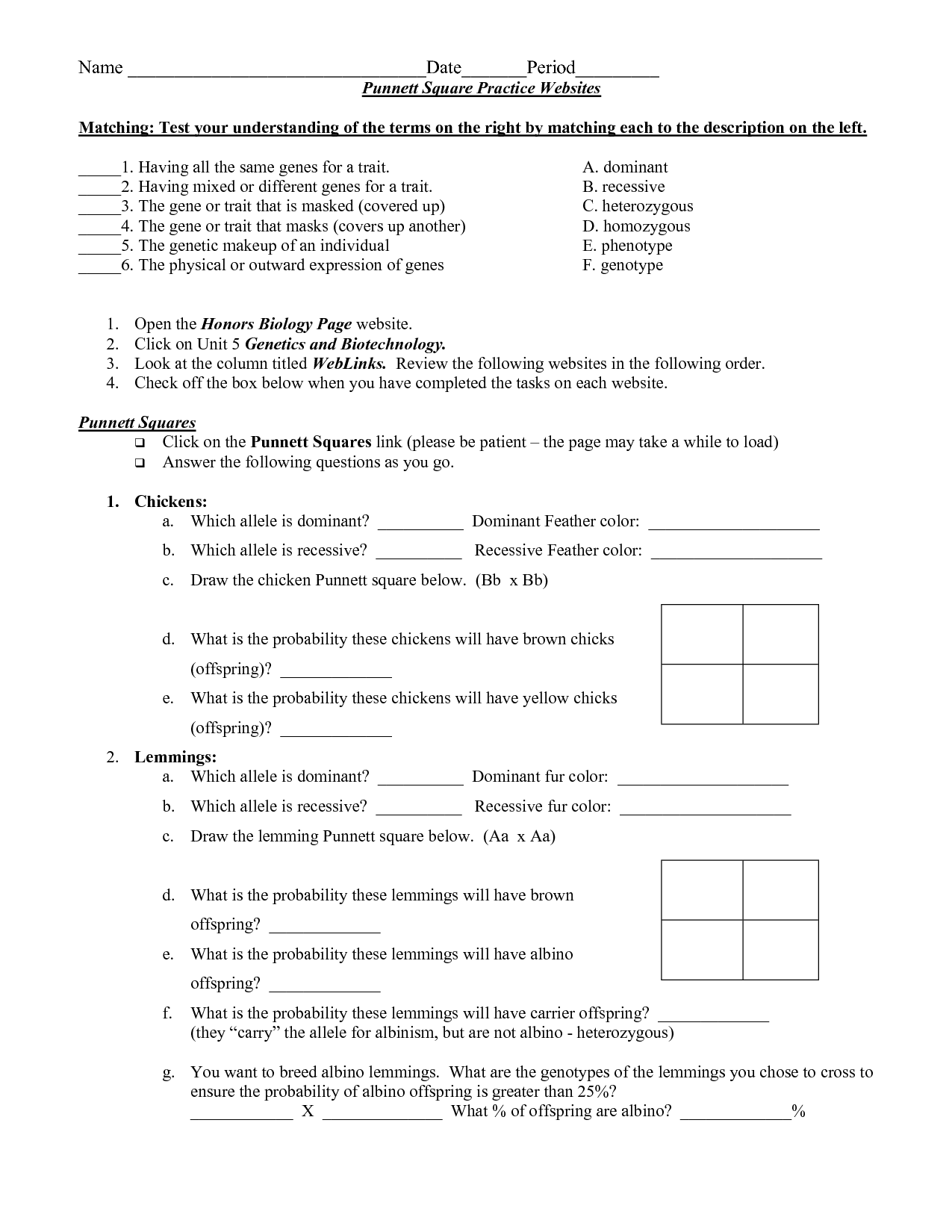 14 Best Images of Punnett Square Worksheets  Punnett 