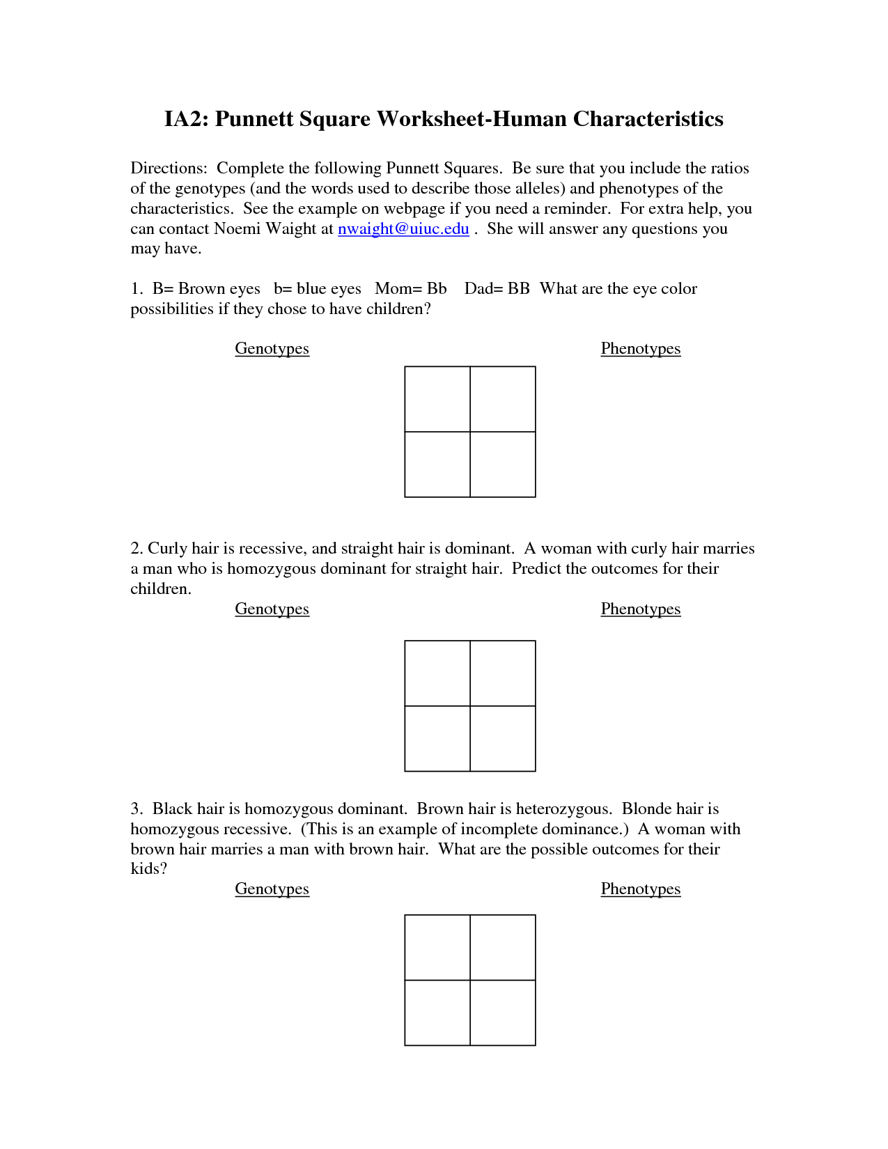 Punnett Square Worksheet Answers