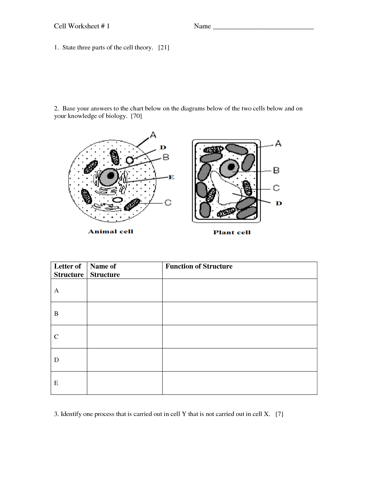 15-best-images-of-cell-theory-worksheet-answers-prokaryotic-and-eukaryotic-cells-worksheet