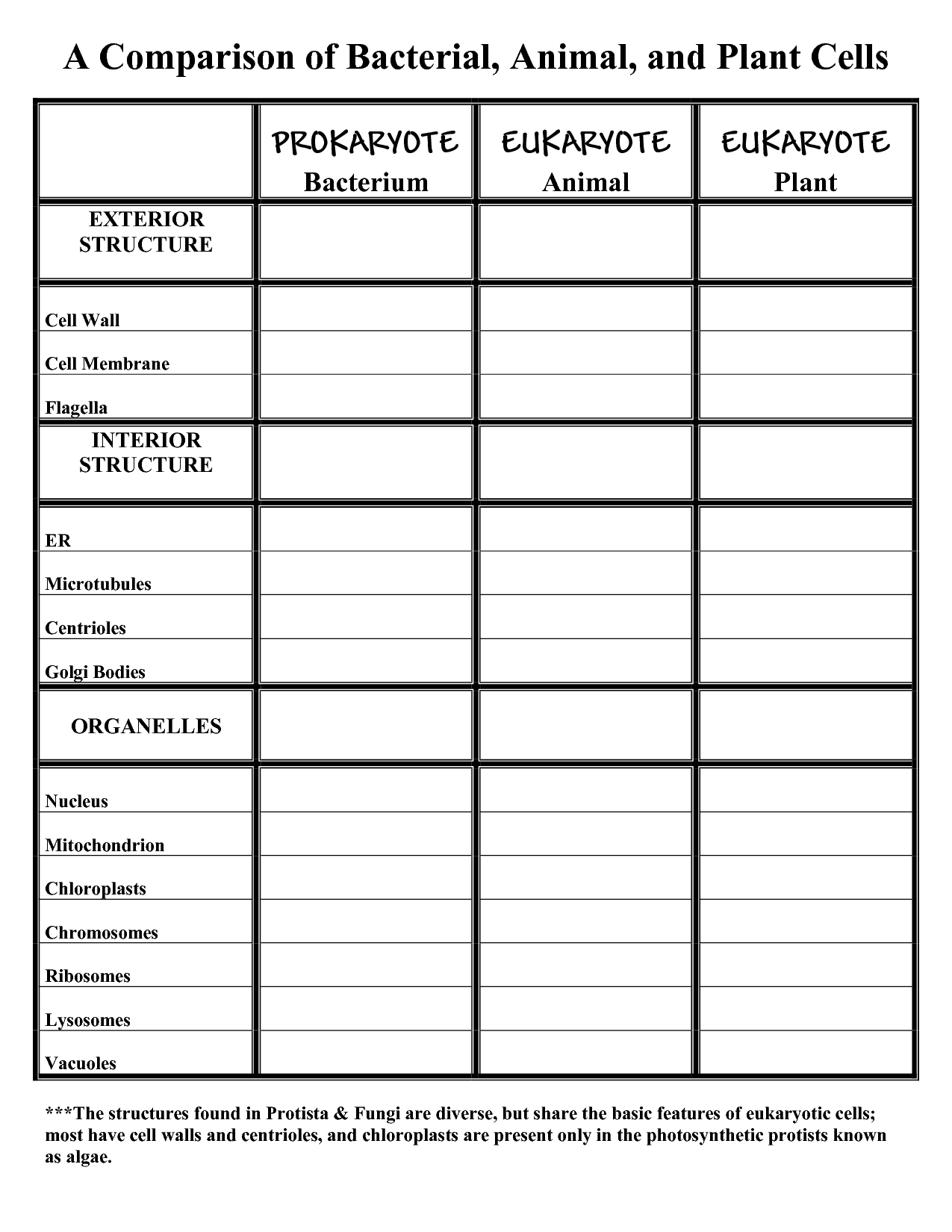 Comparing Plant And Animal Cells Worksheet Answers