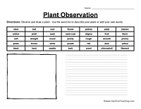 Rock Observation Worksheet for Kids