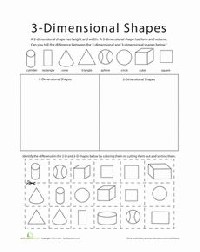 2D and 3D Shapes Worksheets Kindergarten