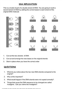 10 Best Images of DNA Fingerprinting Biology Worksheet ...