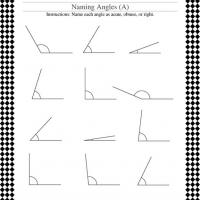 Measuring Angles Printable Worksheet