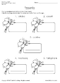 2nd Grade Insect Worksheets