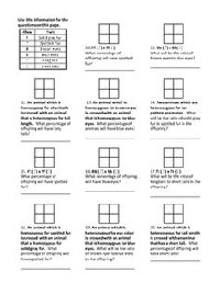Free Printable Punnett Square Worksheet