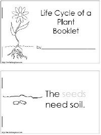 Plant Life Cycle Printable Book